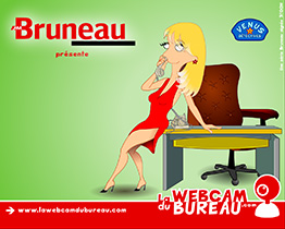 Bruneau - La webcam du bureau