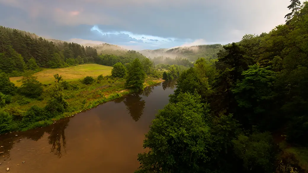 Fédération des Conservatoires d'espaces naturels